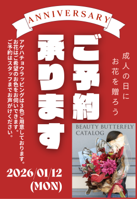 ＼成人式のお花・ご予約受付開始！／
