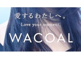 大人気商品ランキング〜(●︎´▽︎`●︎)