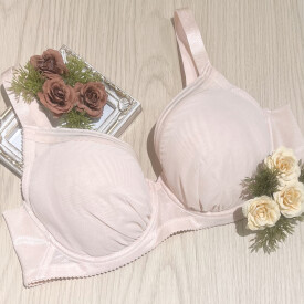 バストボリュームをおさえてくれるワコールの定番品∿🤍⸝⸝⸝ 新色入荷🌷*ﾟ