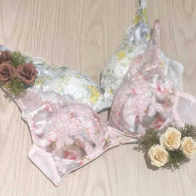 ノンワイヤーでキレイなシルエットに🪄.⋆⟡新色入荷💐🤍