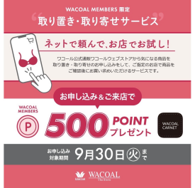 ネットを使って500ポイントGET🙌💗