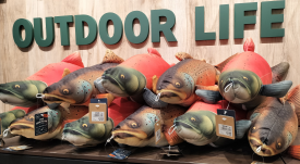 今年もFISH CUSHION&PILLOWがやってきた！