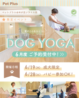 愛犬と心をひとつに♡DOG YOGA