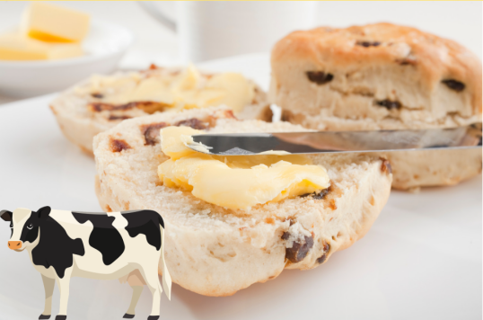 11/15(日) 振って変身!生クリームから手作りバター体験 焼き立てスコーンと一緒に食べよう