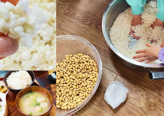 2/24(火)　初めての味噌づくり 横浜の麹で手前みそ