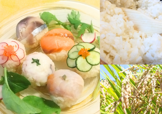 11/17(月)　お米は文化！新米を食べ比べ、手まりずしで自分の一皿を