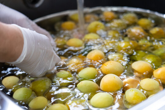 5/29(金)　手仕事の味を慈しむ 梅レッスン ～梅ジュース編～