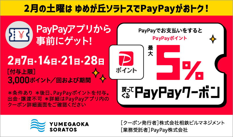 PayPay2月土曜