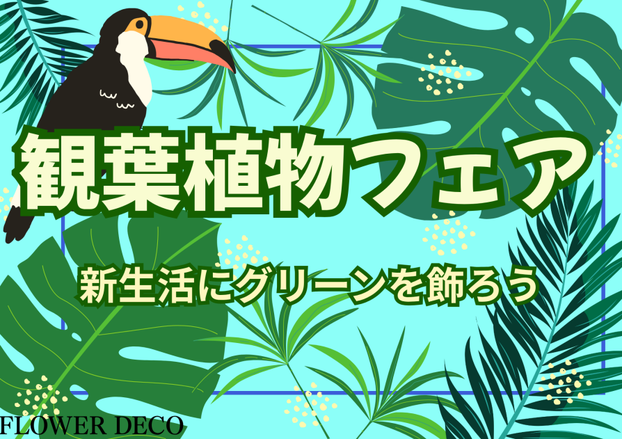 🌱新生活にグリーンを飾ろう