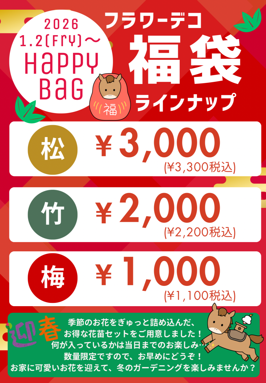 🌼花苗の《福袋》をご用意いたします!🌼