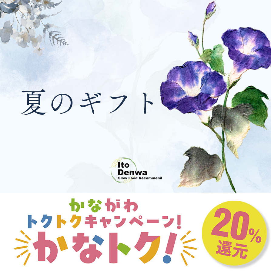 【夏の贈り物】取り揃えています！『かなトク！』にも対応♪