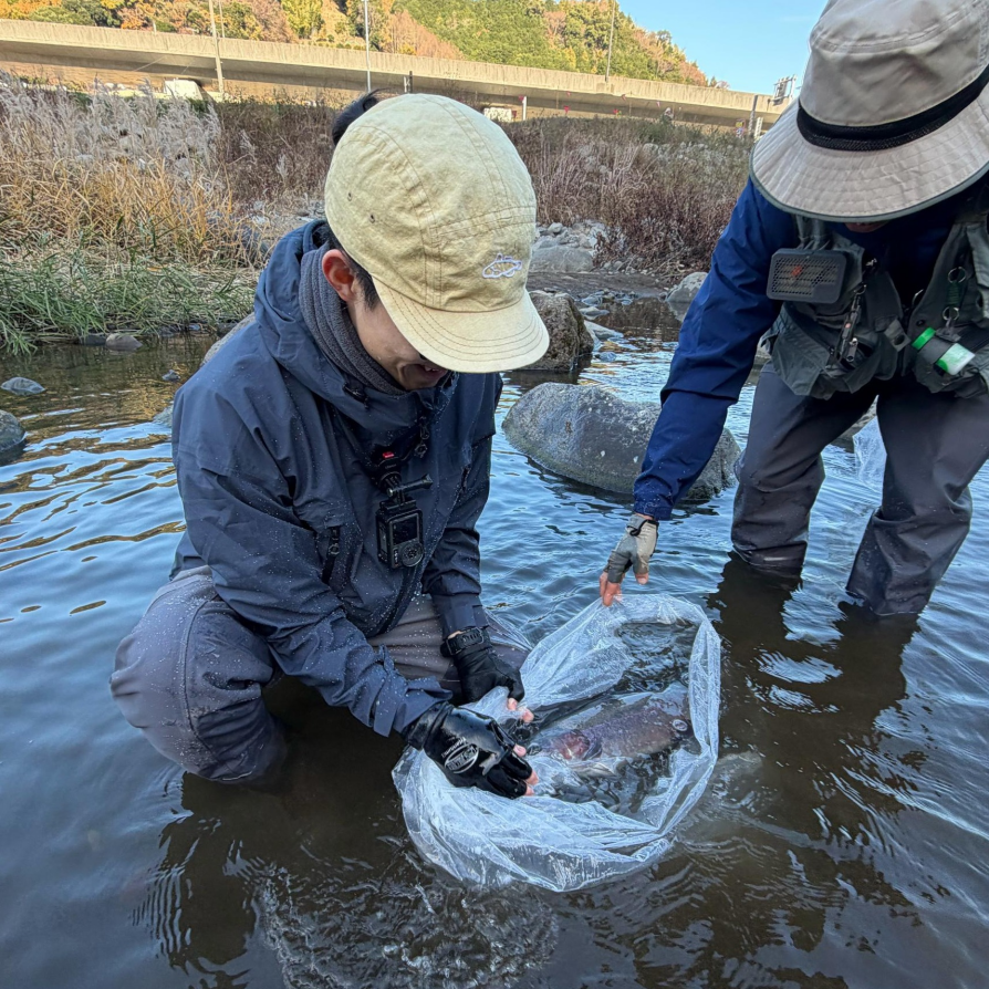 リリース&キャッチ!?&リリース!!【箱根早川】