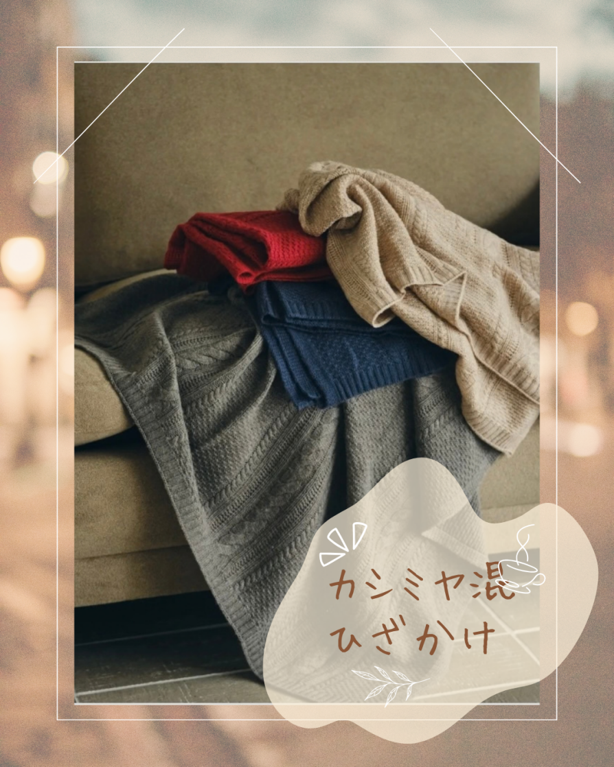 新商品入荷のお知らせ⭐️